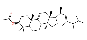 24,25-Dimethyl-9(11),23-lanostadienol acetate